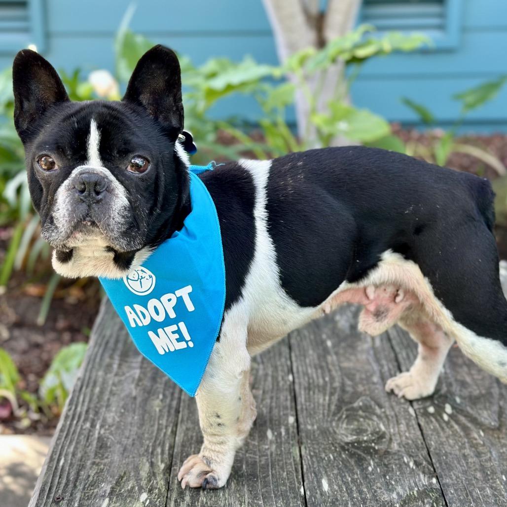 Free Willy — thumbnail 3