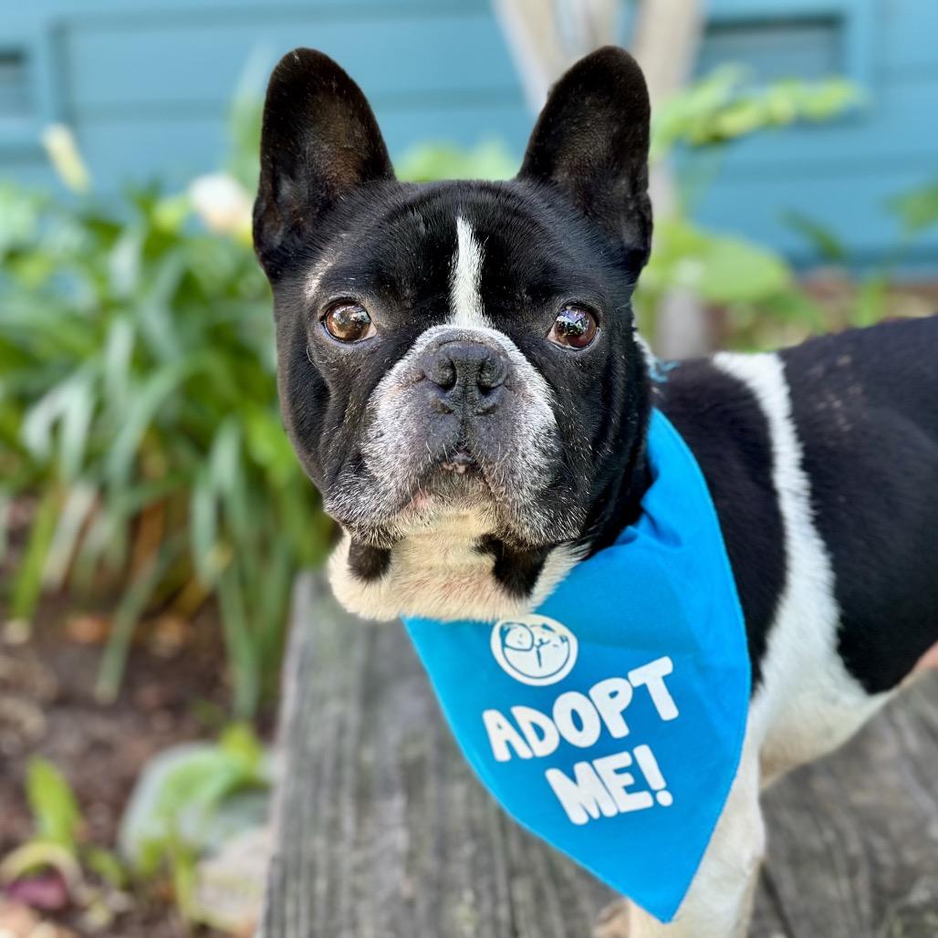 Free Willy — thumbnail 6