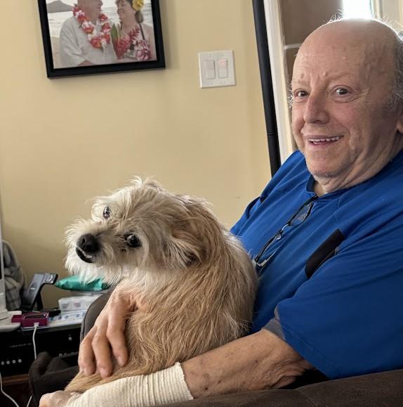 KIMBO, a Adoptable mixed breed in Westmont, IL image 4/6