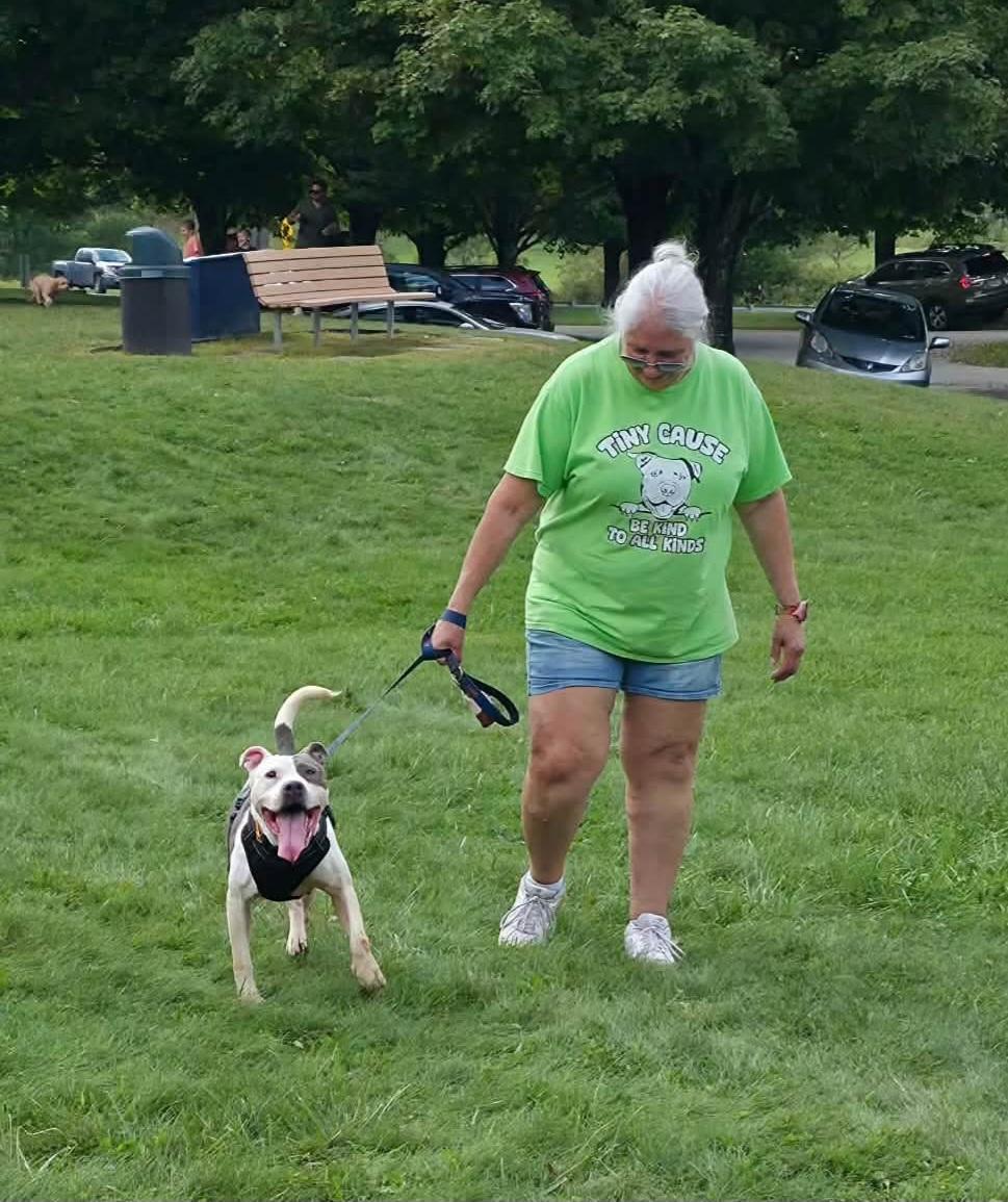 Enlarge XENA. tinycauseadopt@gmail.com, a Adoptable mixed breed in Vandergrift, PA image 3/6