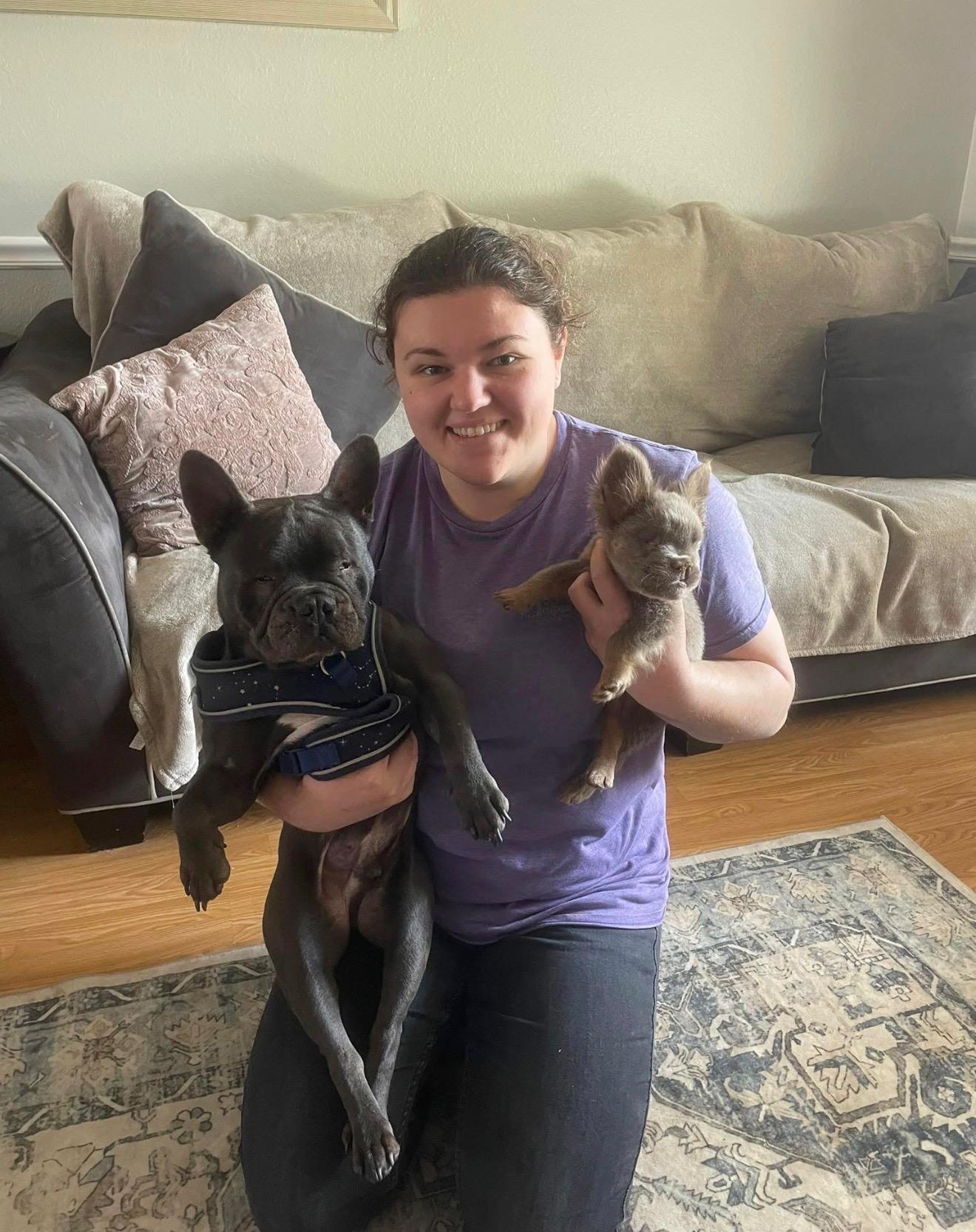 Rosco, Adopted, Young Male French Bulldog.