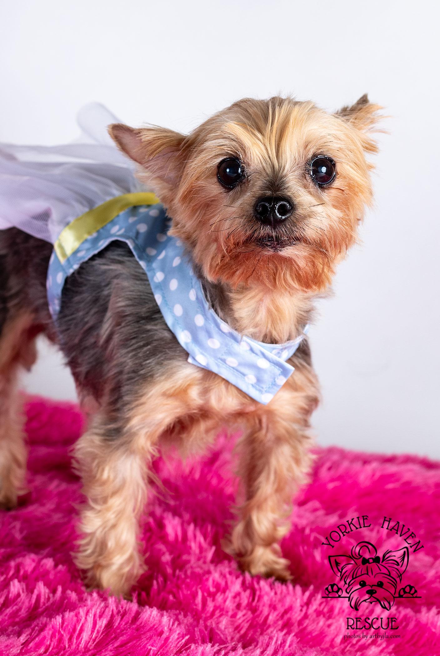 Lexi — thumbnail 3