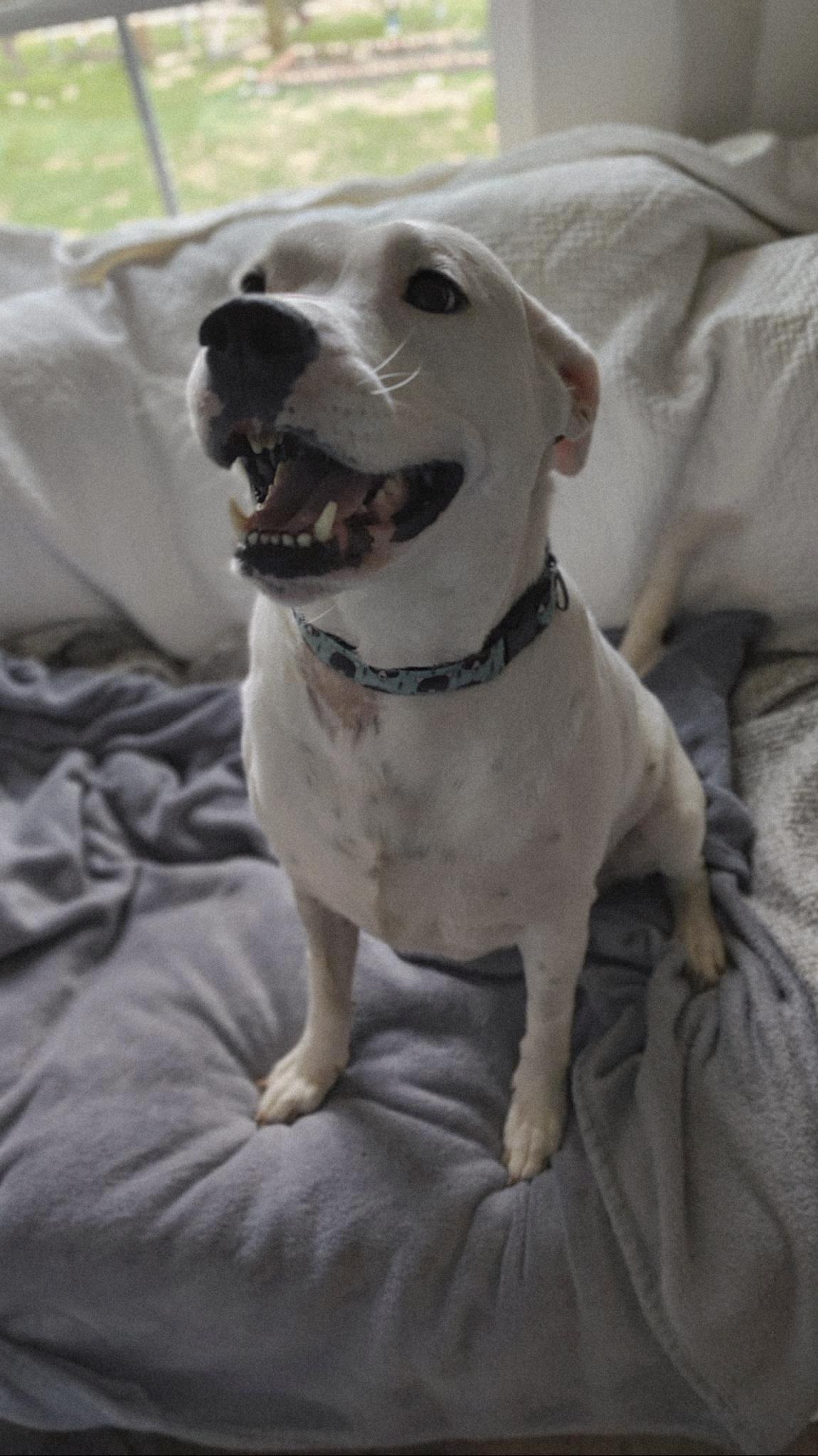 DORIS photo 3