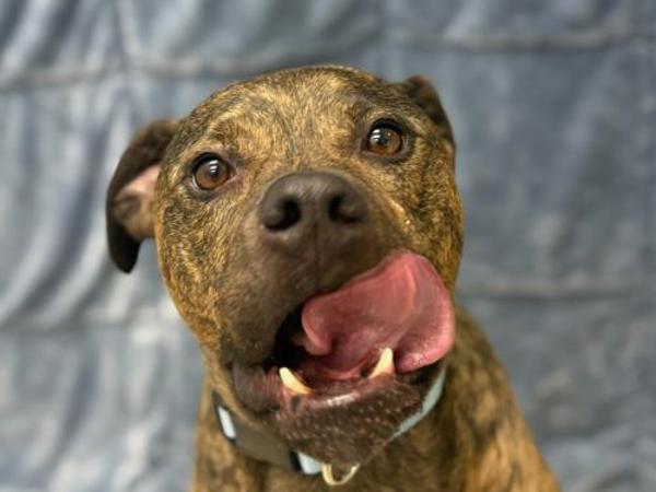 Duncan — thumbnail 2