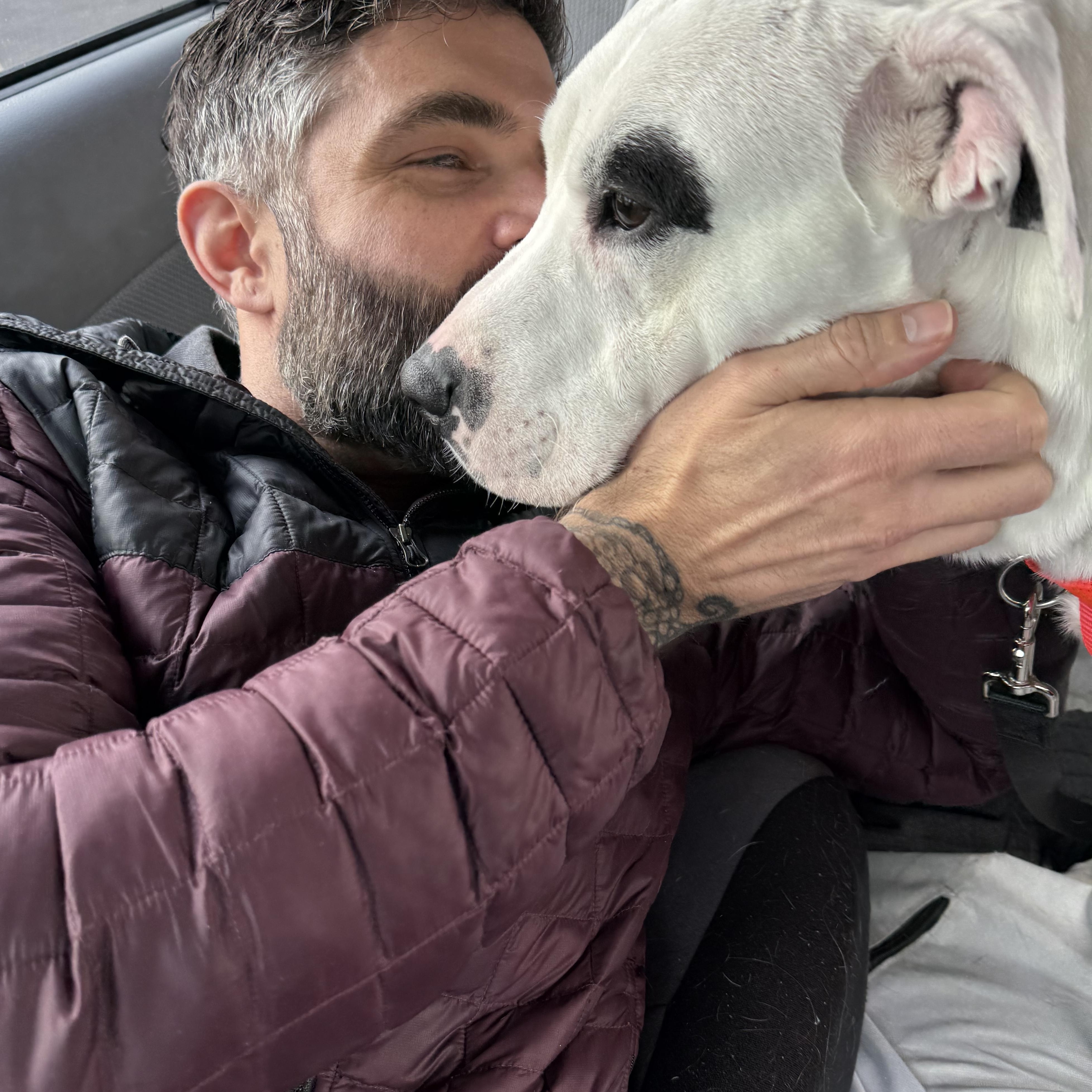 Enlarge Neko, a Adoptable mixed breed in Prineville, OR image 4/6