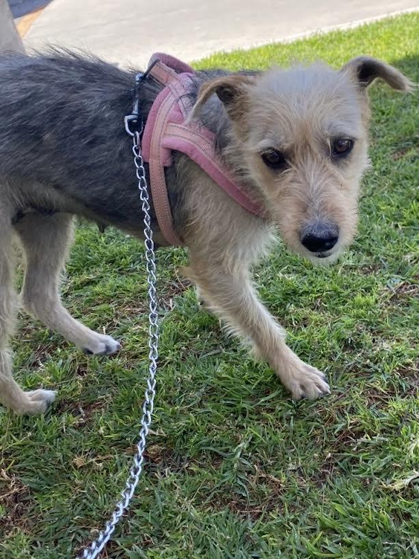 Cindy — thumbnail 1