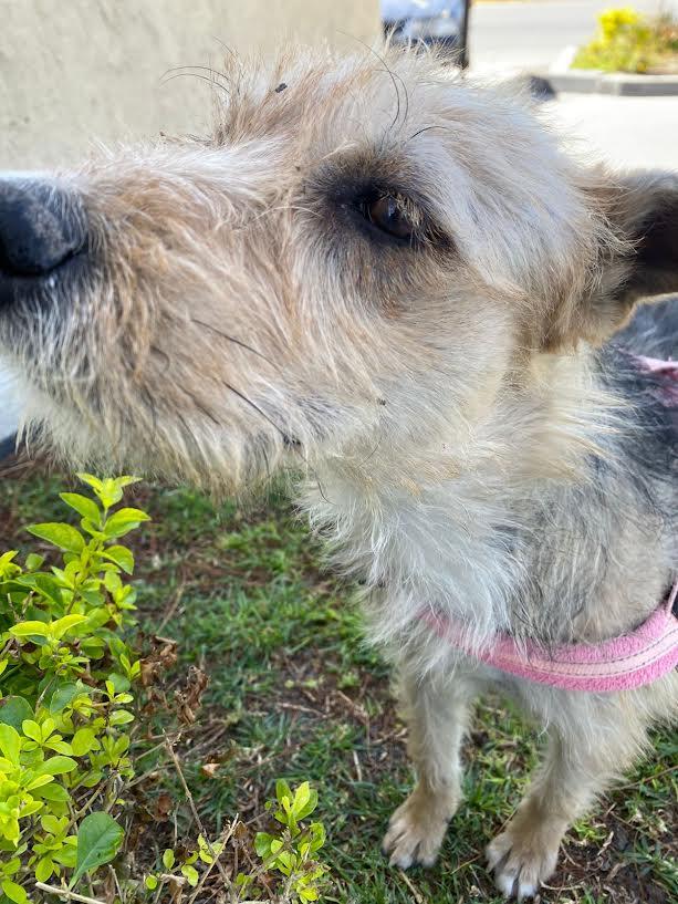 Cindy — thumbnail 2