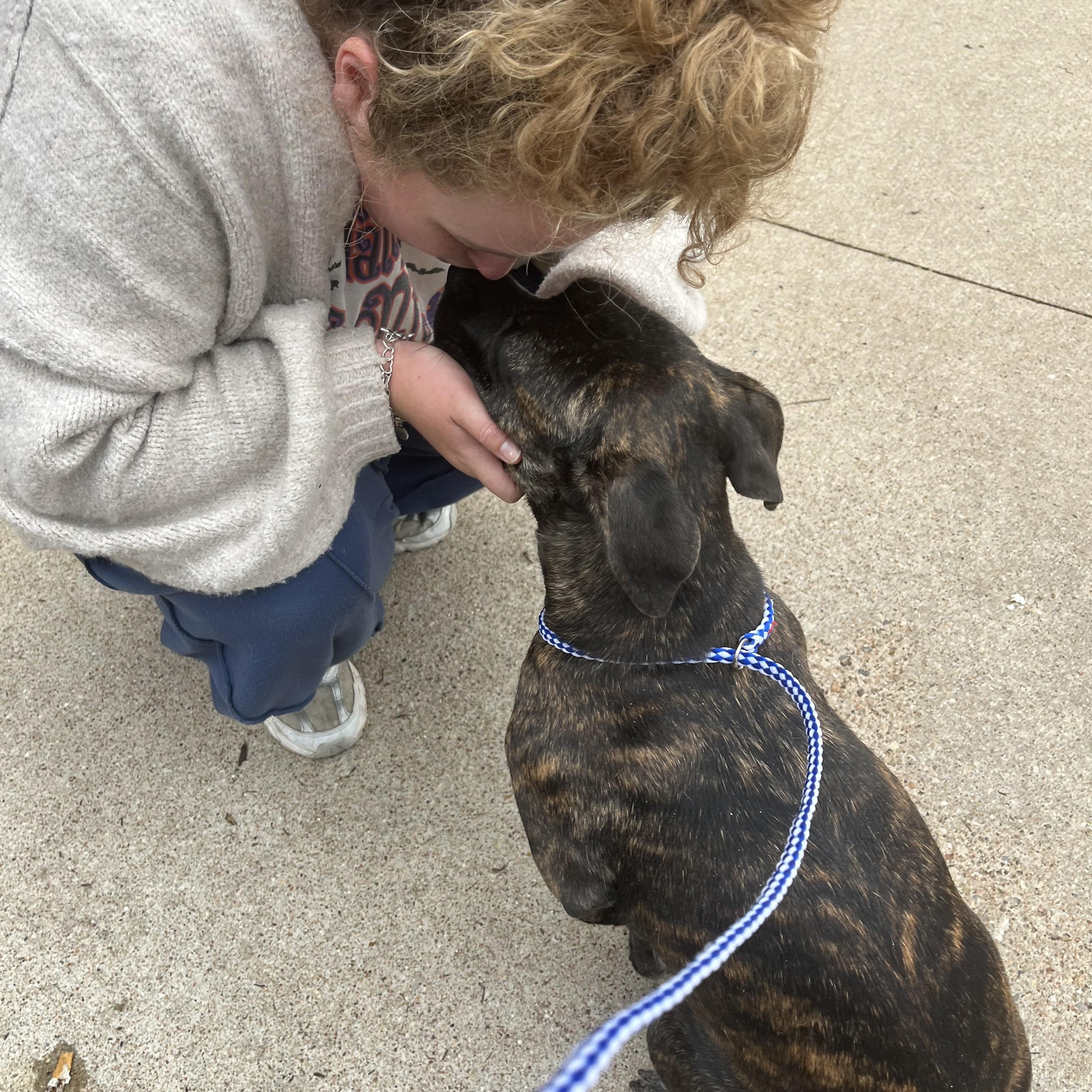 Nala, a Adoptable Mixed Breed in Austin, TX image 2/6