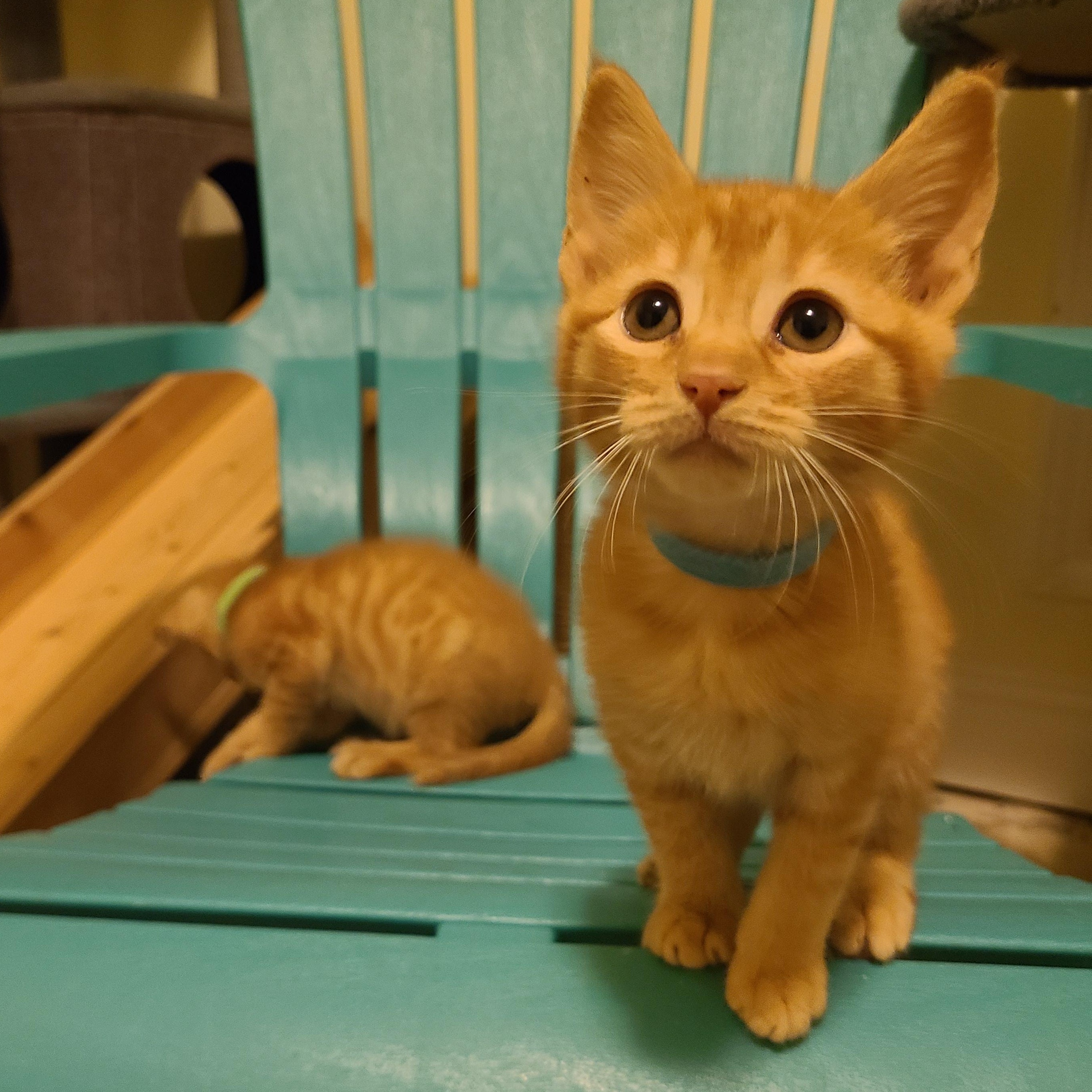 Burglary - Winterville, GA