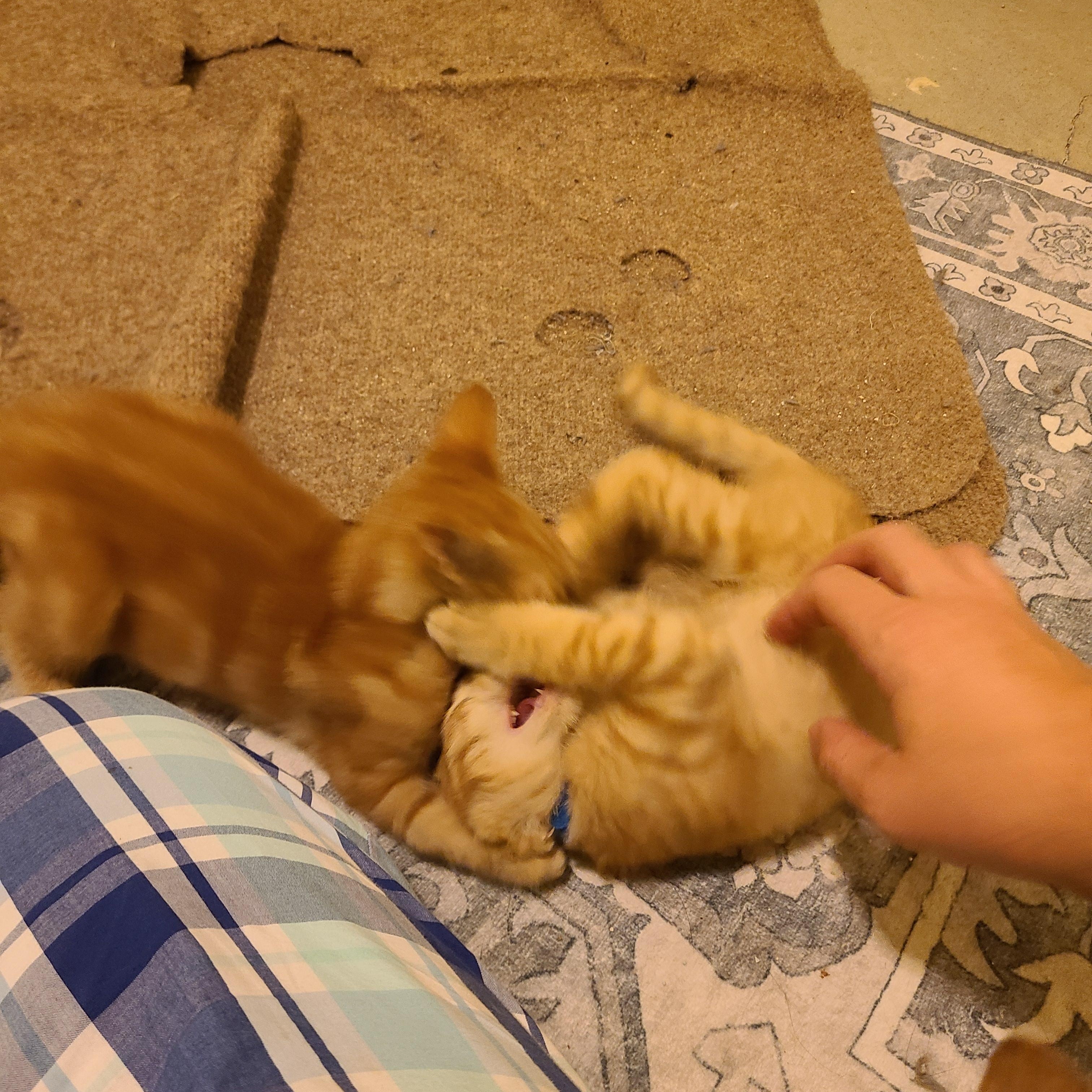 Burglary - Winterville, GA