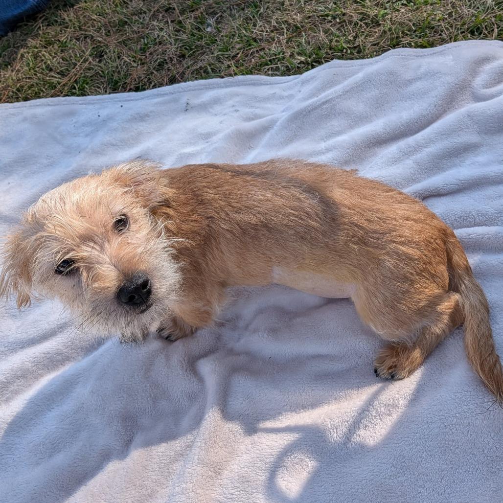 Luma — thumbnail 3