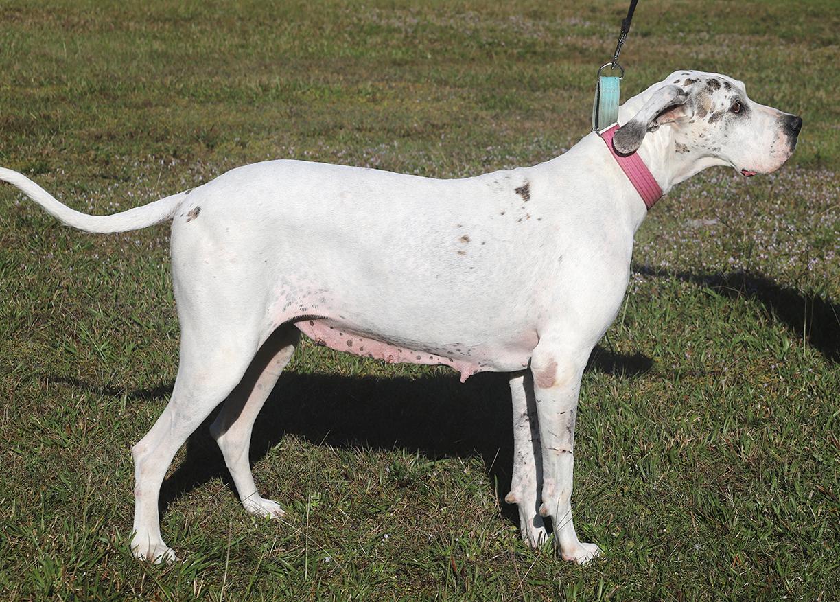 Zinnia Medical Hold Hwt thumbnail 3