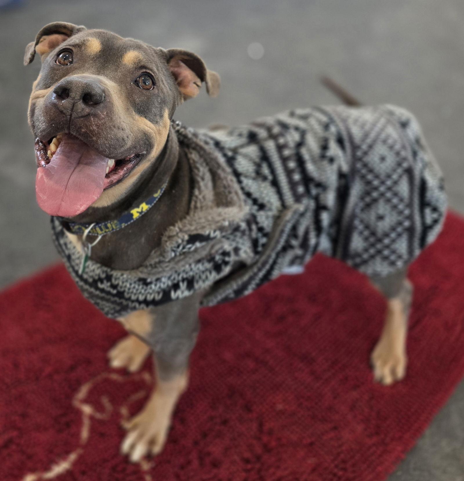 Valentino *Transportation Available*