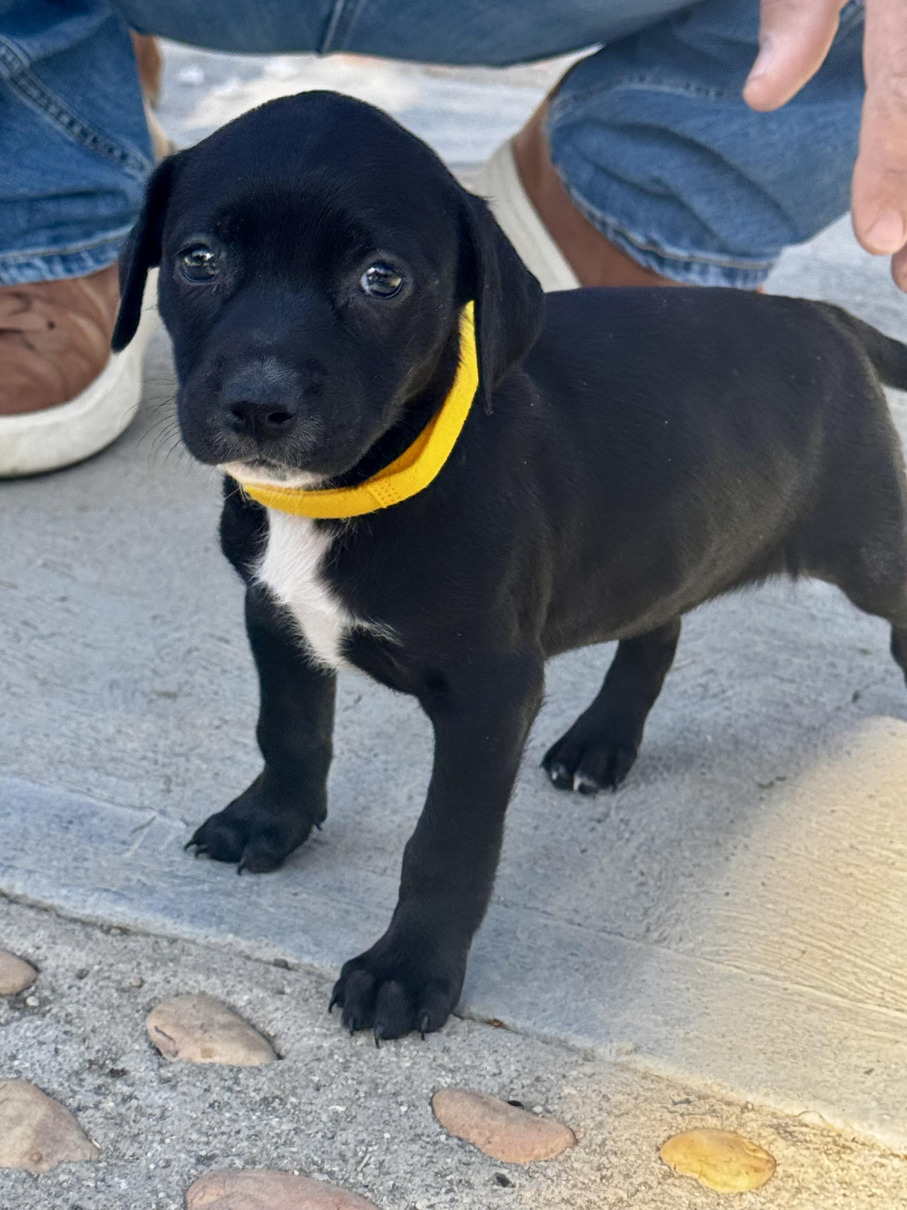 Janice — thumbnail 5