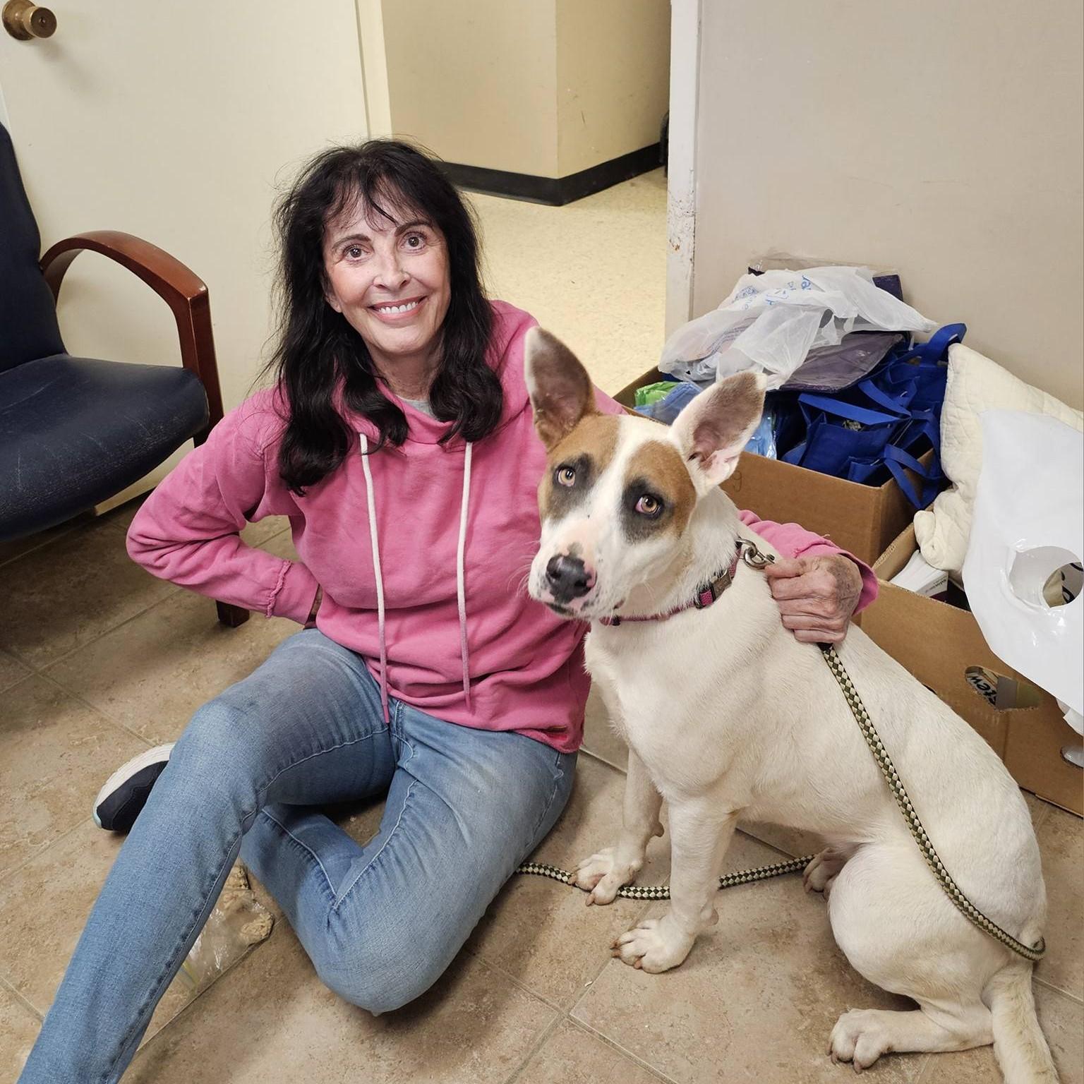 Gypsy, a Adoptable Mixed Breed in Searcy, AR image 6/6