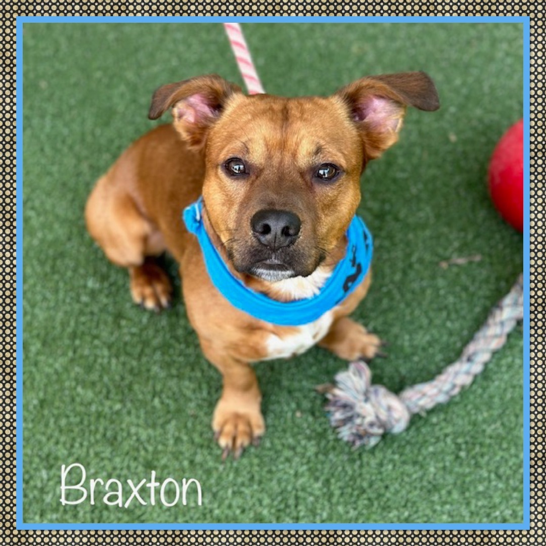 BRAXTON