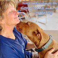 Enlarge Amber, a Adoptable mixed breed in Phoenix, AZ image 6/6