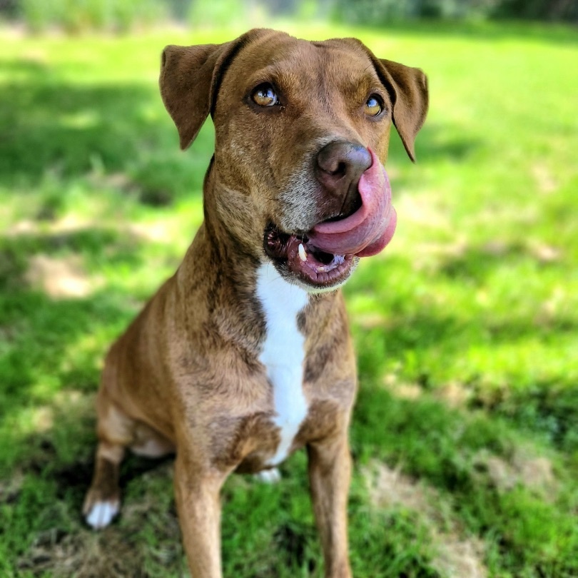 Heath — thumbnail 5