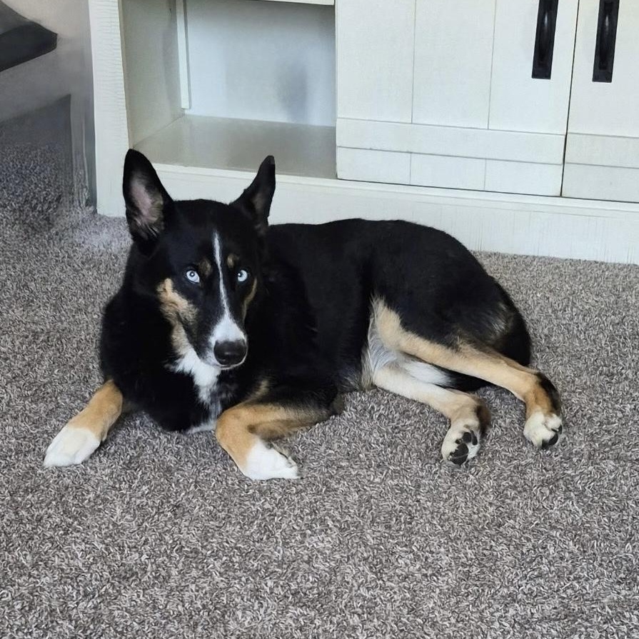 Taivas — thumbnail 4