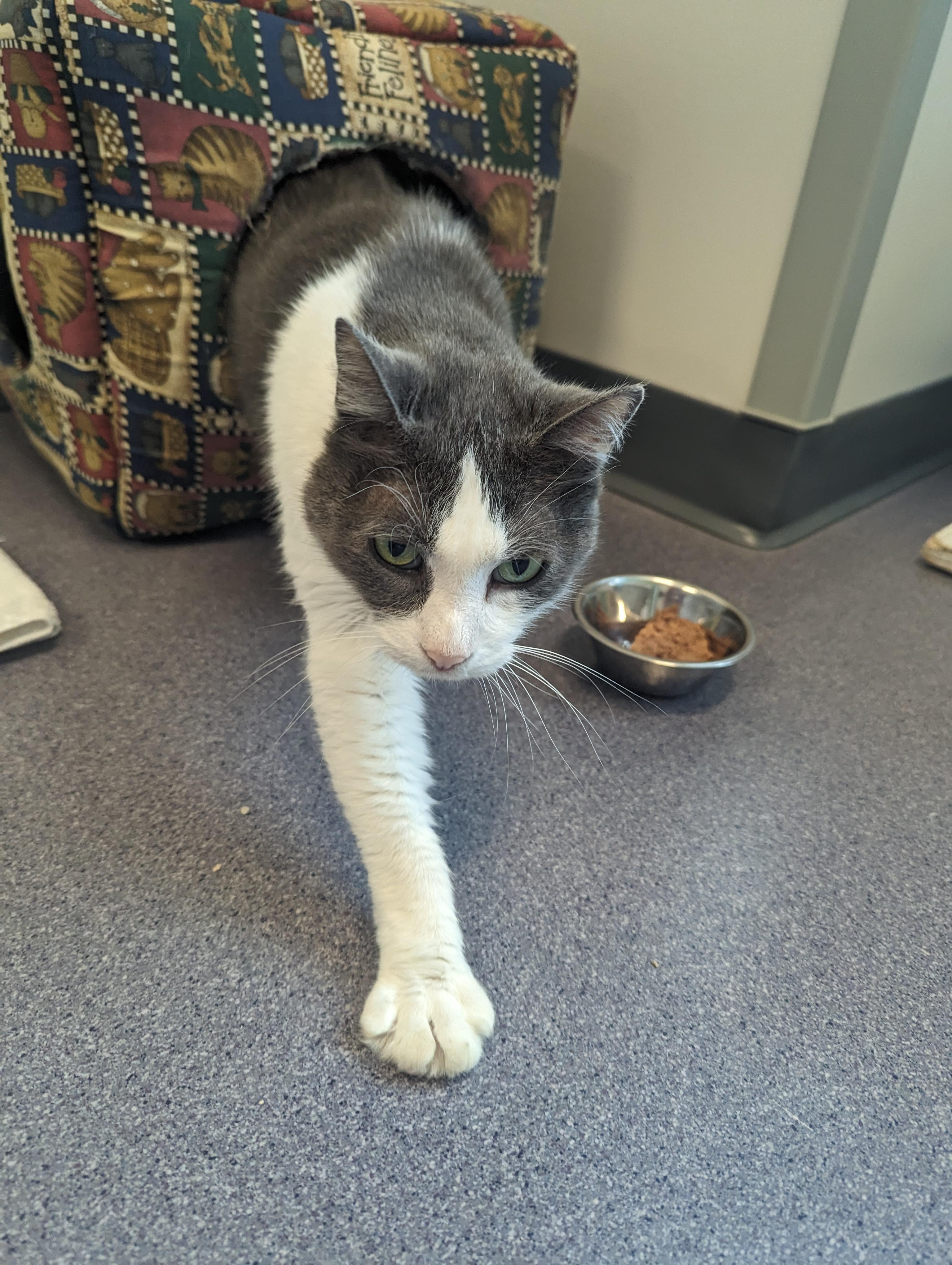 Mittens