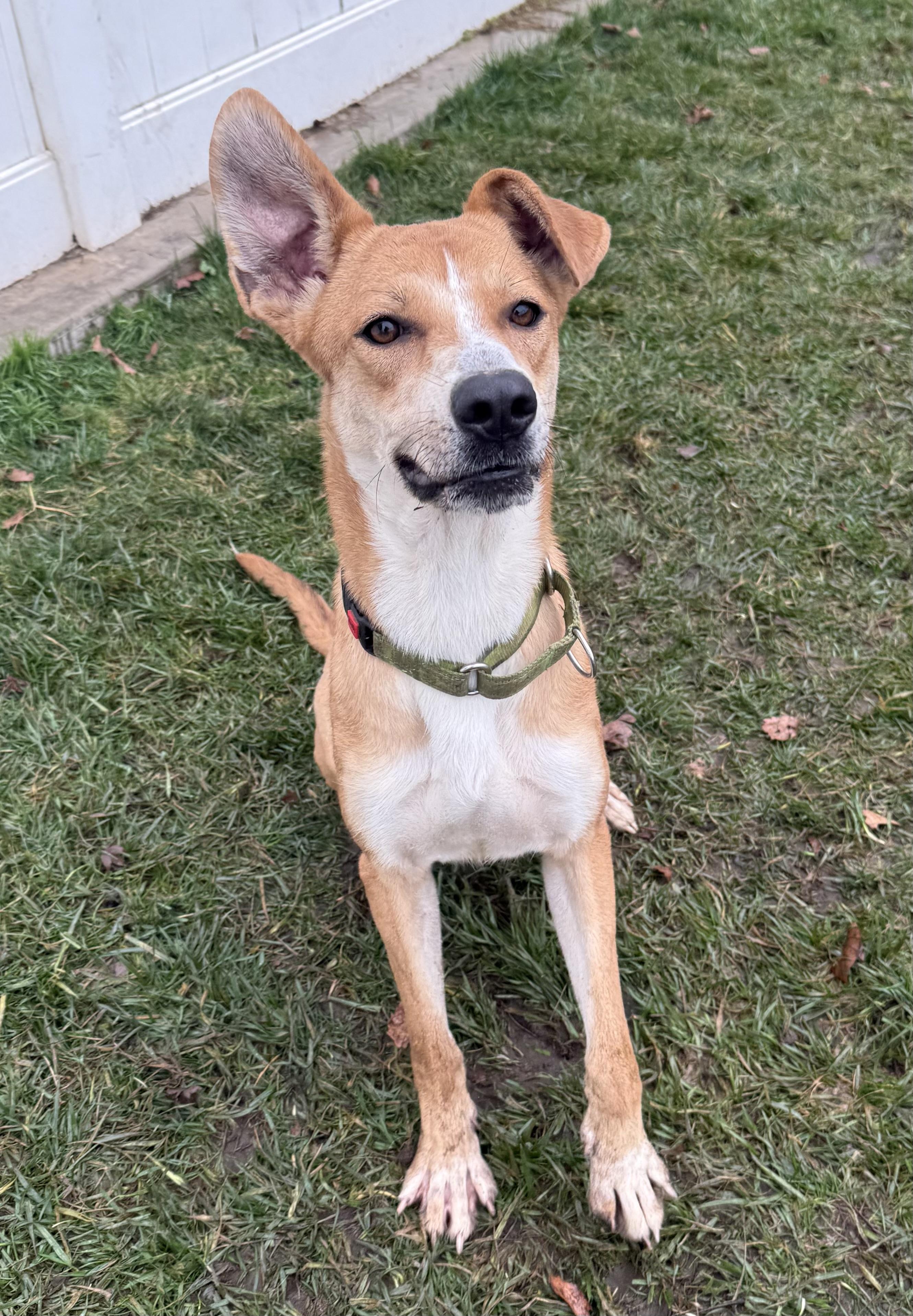 Hope — thumbnail 2