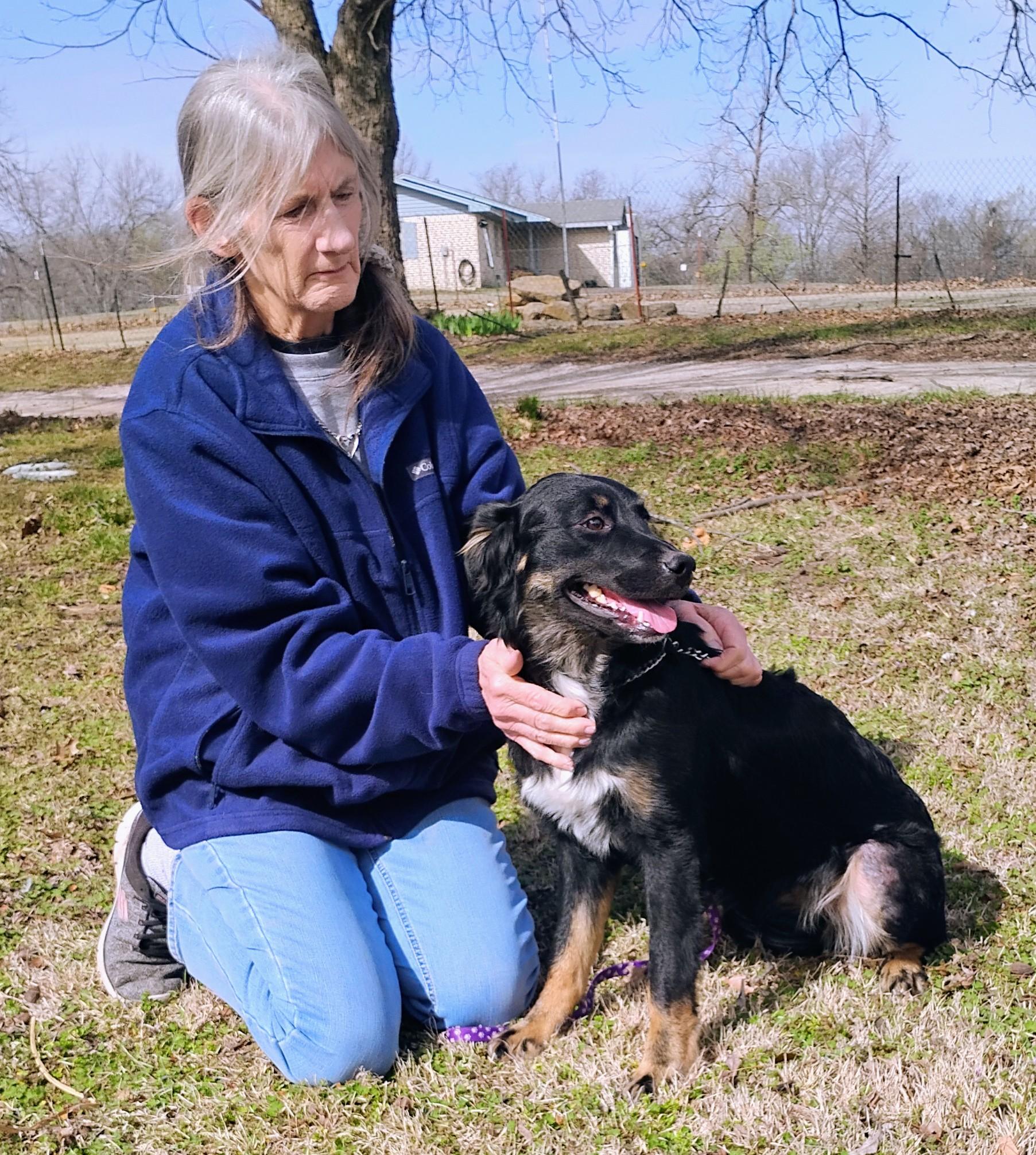 Jade / summer special, a Adoptable mixed breed in Sulphur, OK image 2/3