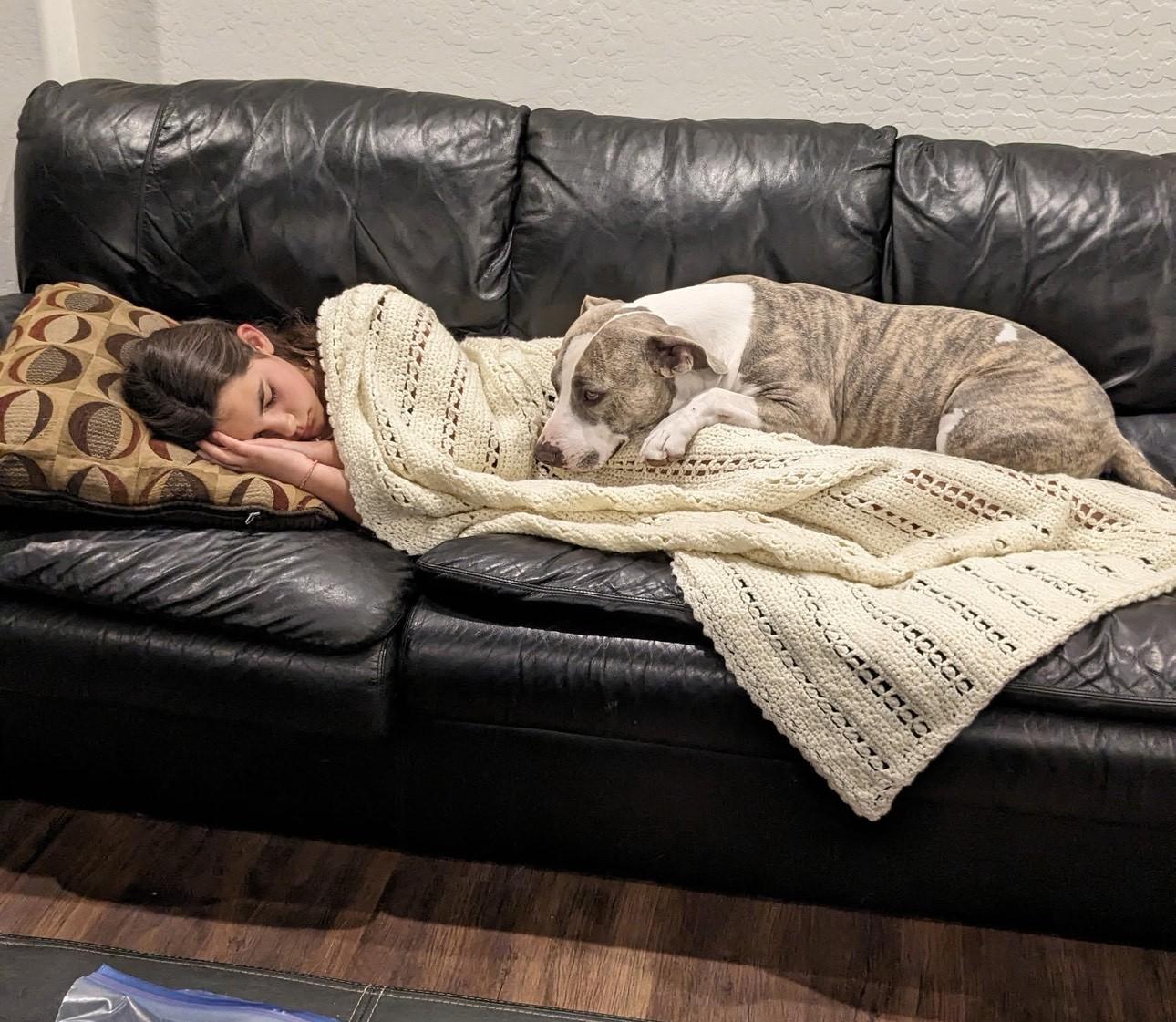 Frost, a ADOPTABLE mixed breed in Gilbert, AZ image 4/5