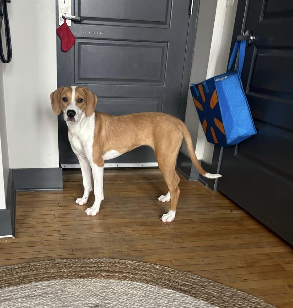 Penny — thumbnail 3