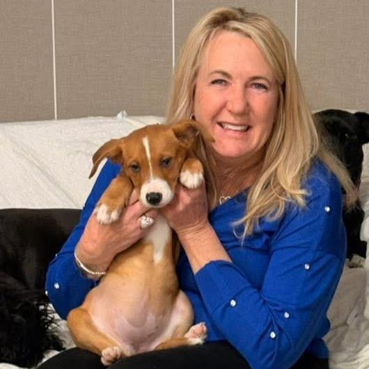 Buttercup, Adoptable, Puppy Female Pit Bull Terrier.