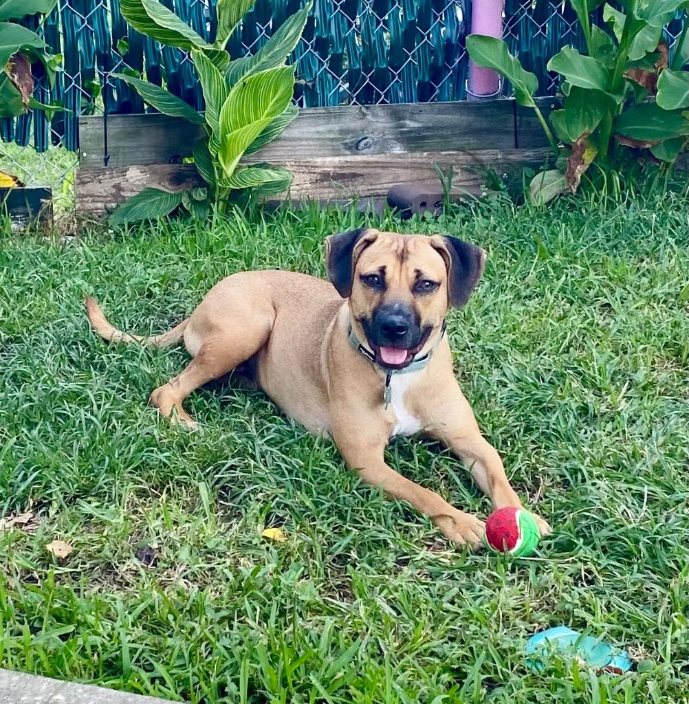 Lola