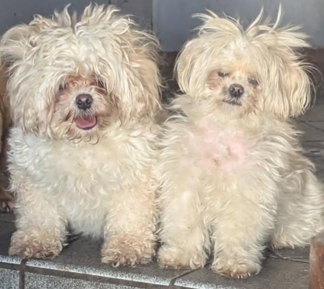 Lacey & Bell (bonded)