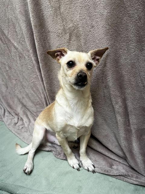 OTIS — thumbnail 2