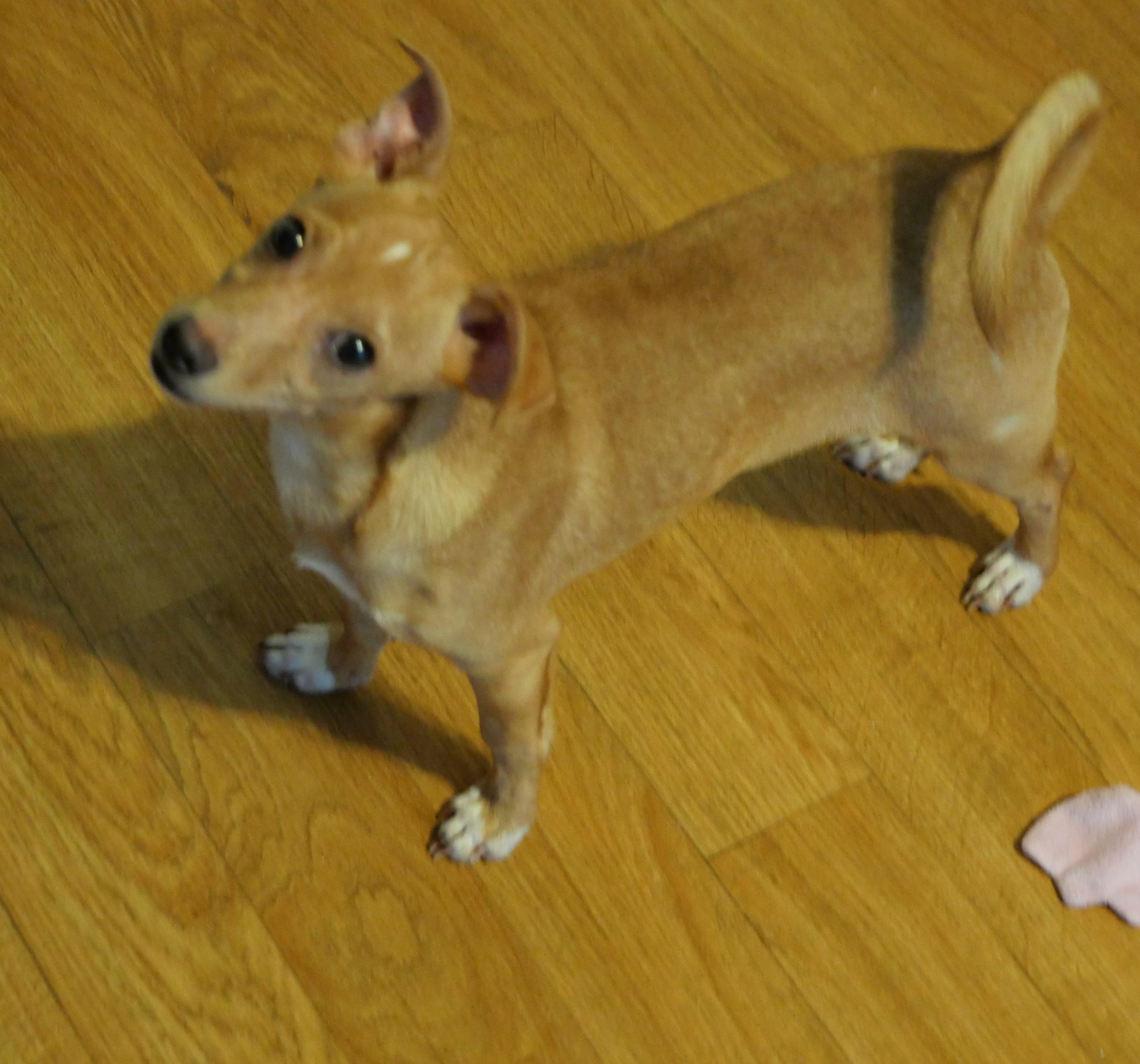 Bernie photo 4