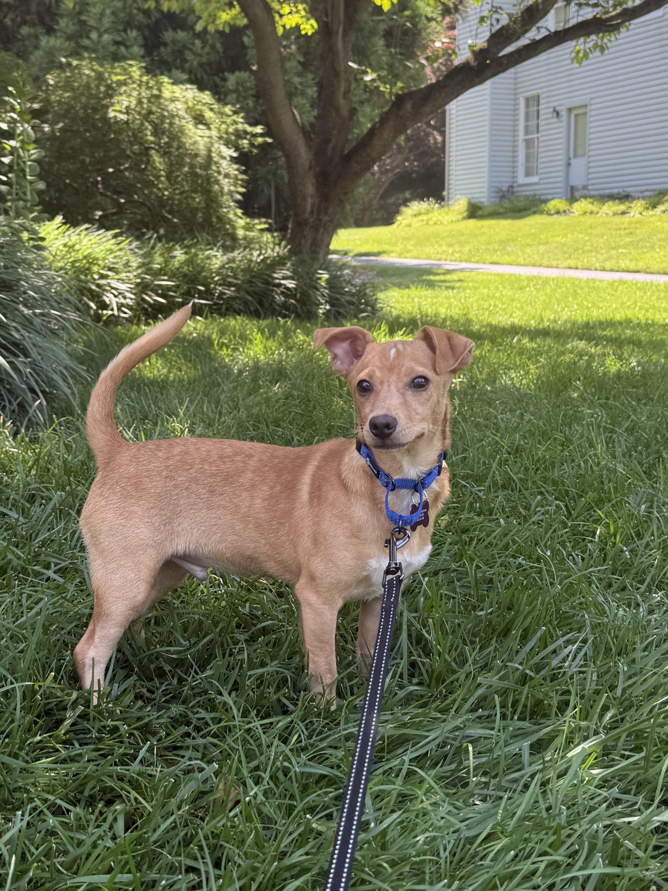 Bernie photo 1