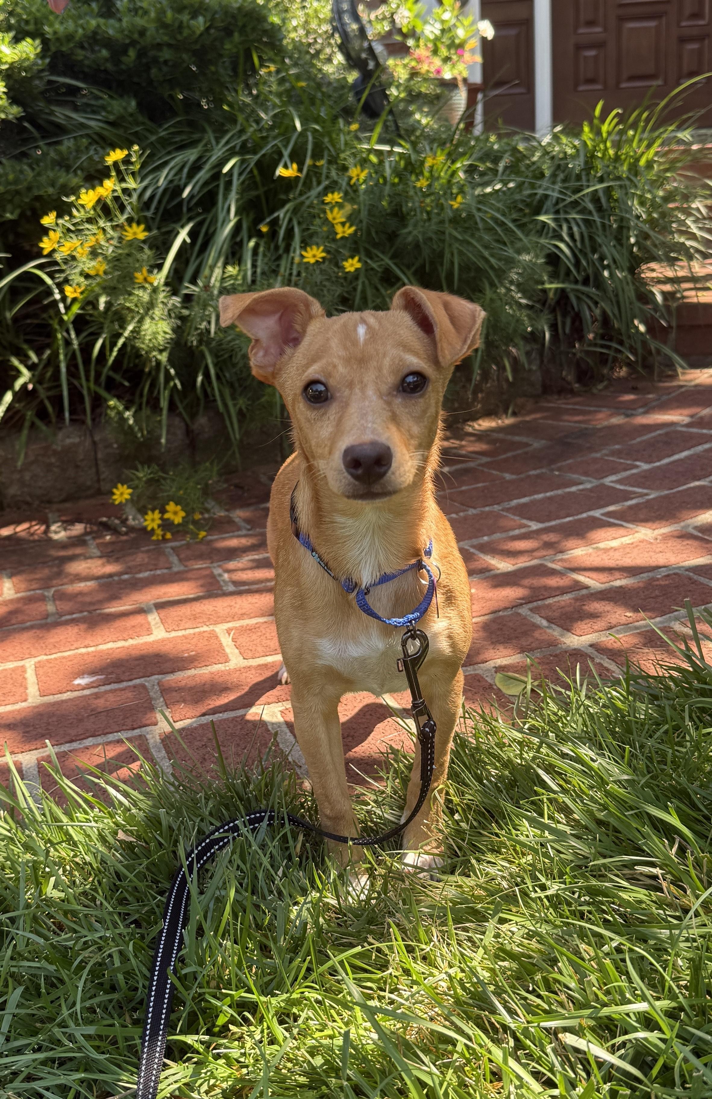 Bernie photo 3