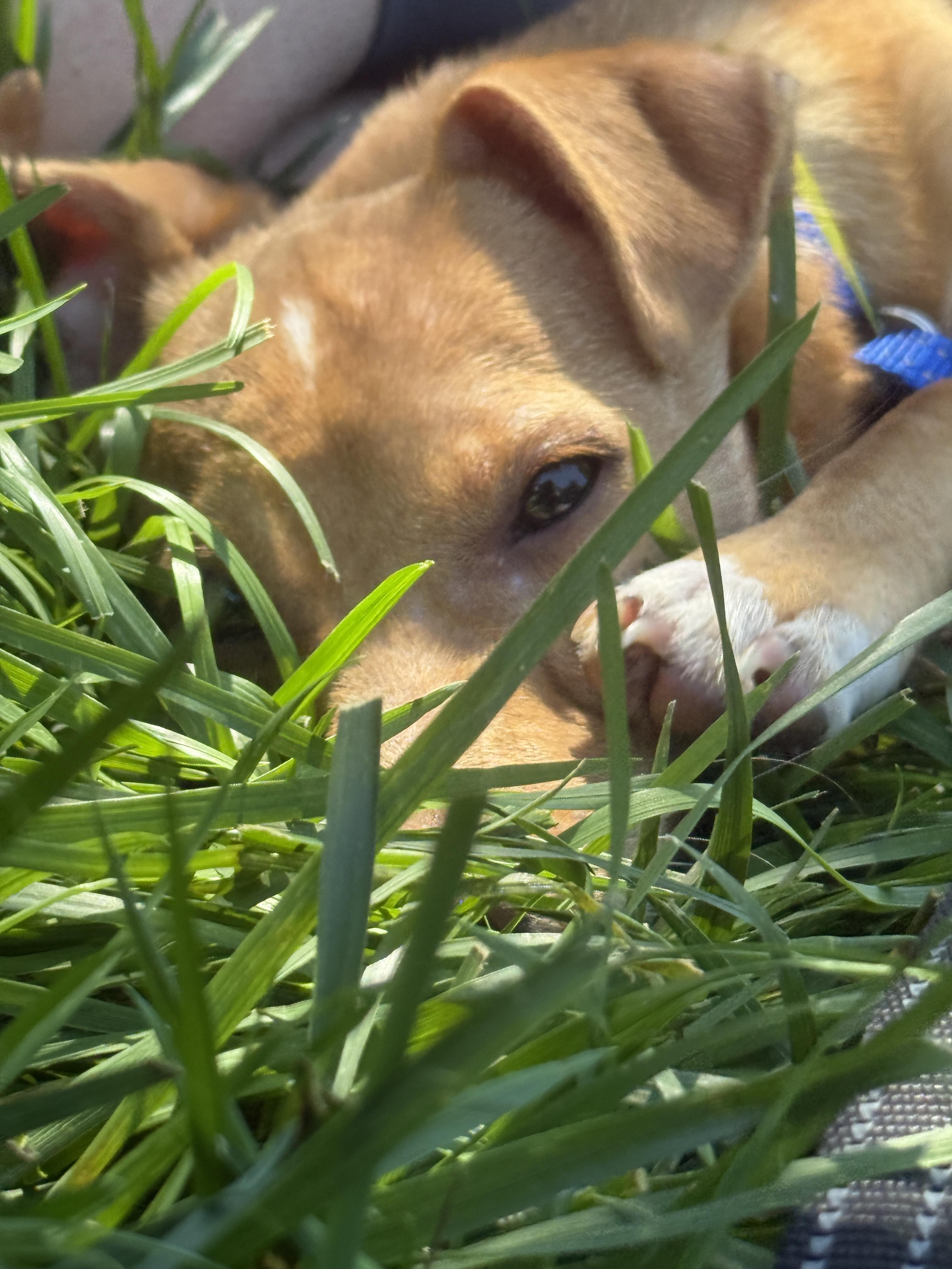 Bernie photo 5