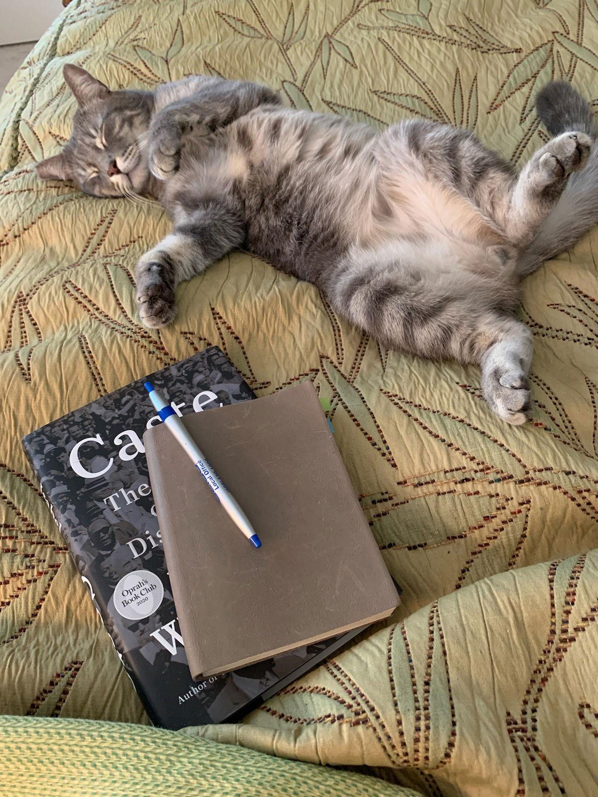 Jamie — thumbnail 2