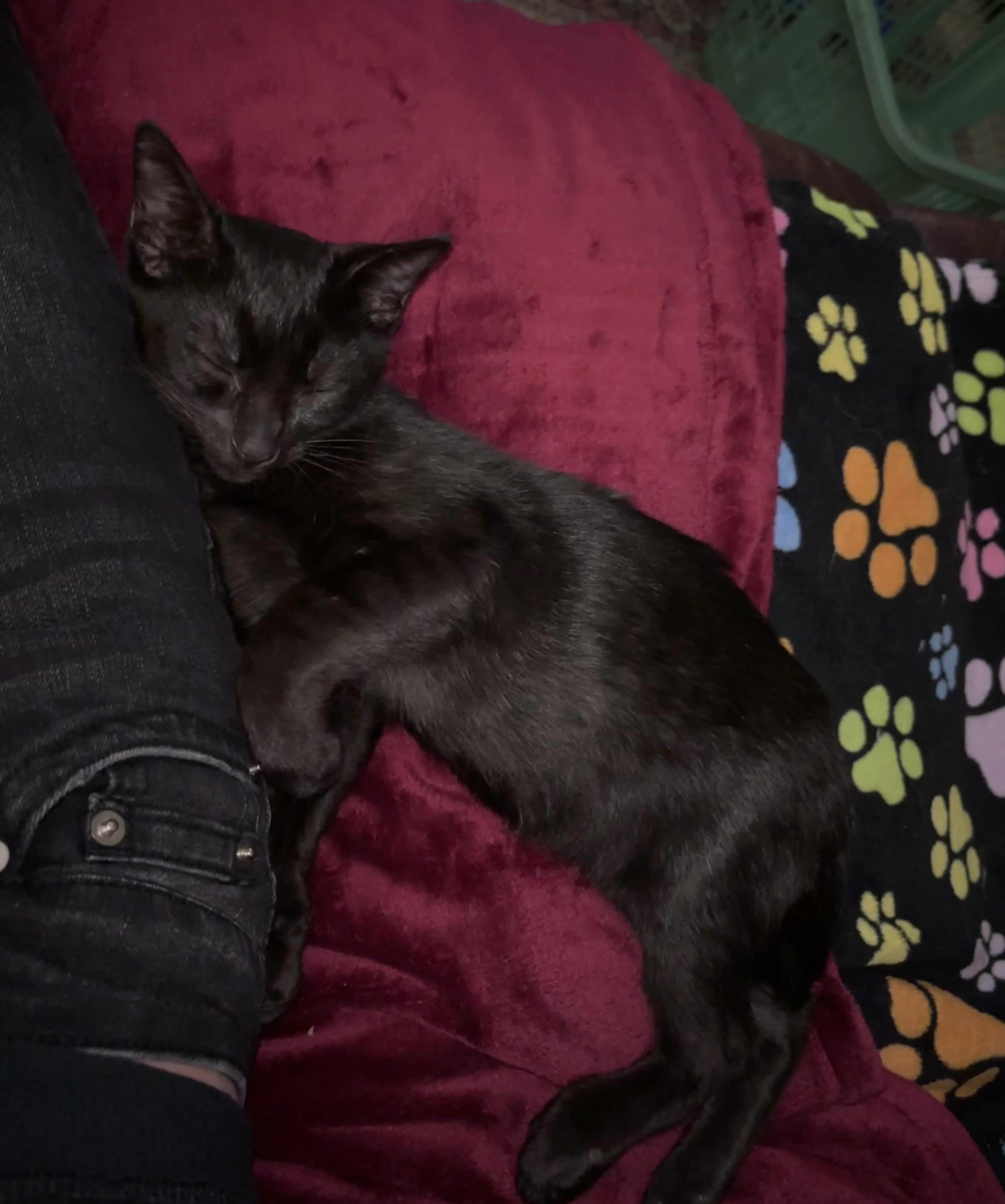 Desmond Jones thumbnail 2