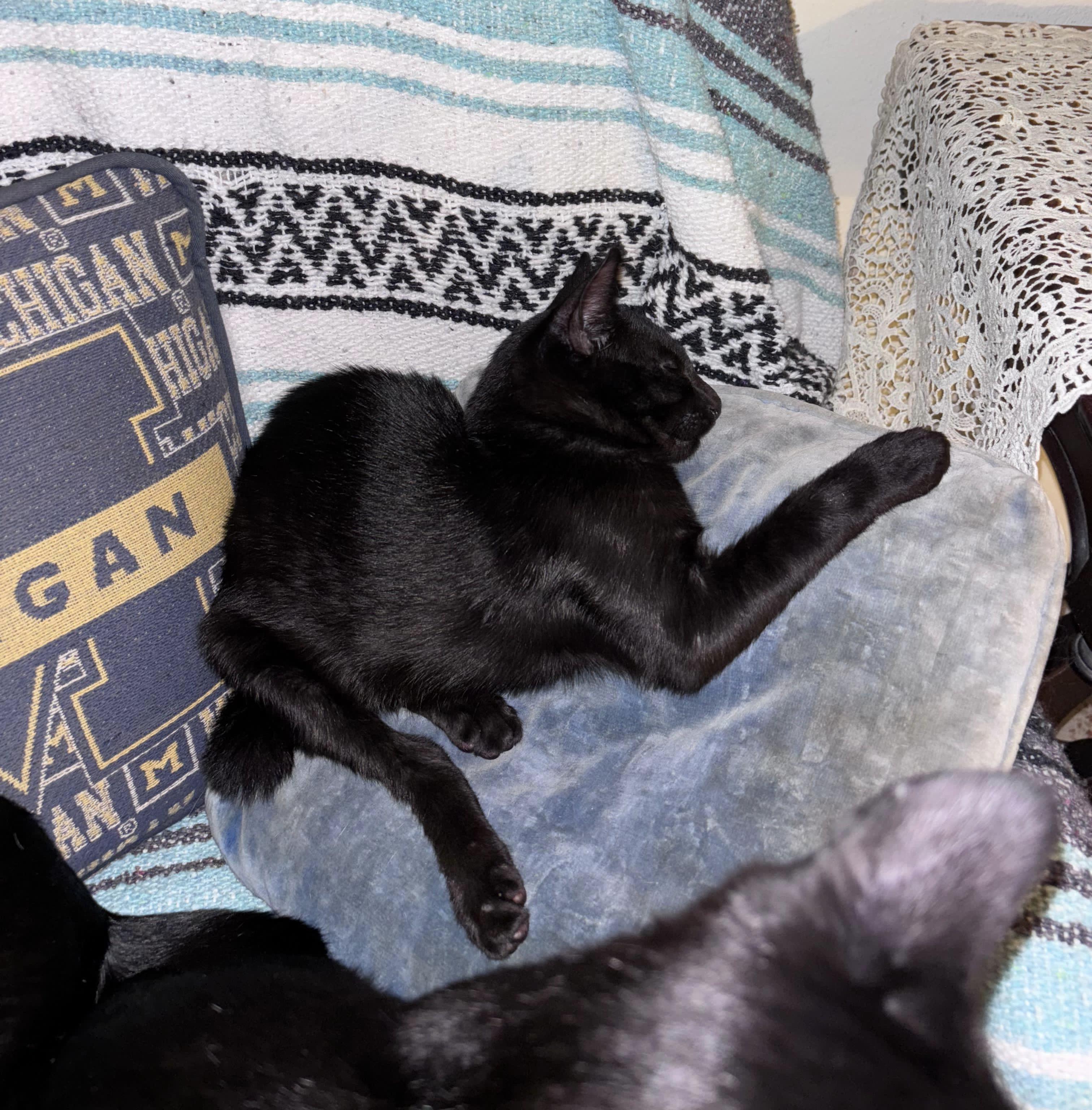 Desmond Jones thumbnail 3