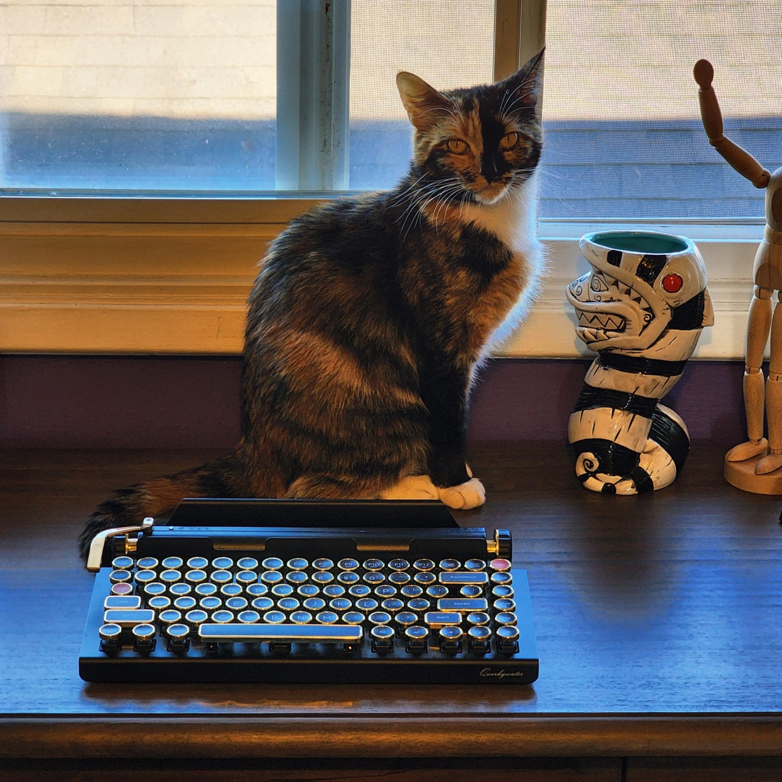 Enlarge Ember, a Adoptable mixed breed in Woodinville, WA image 4/6