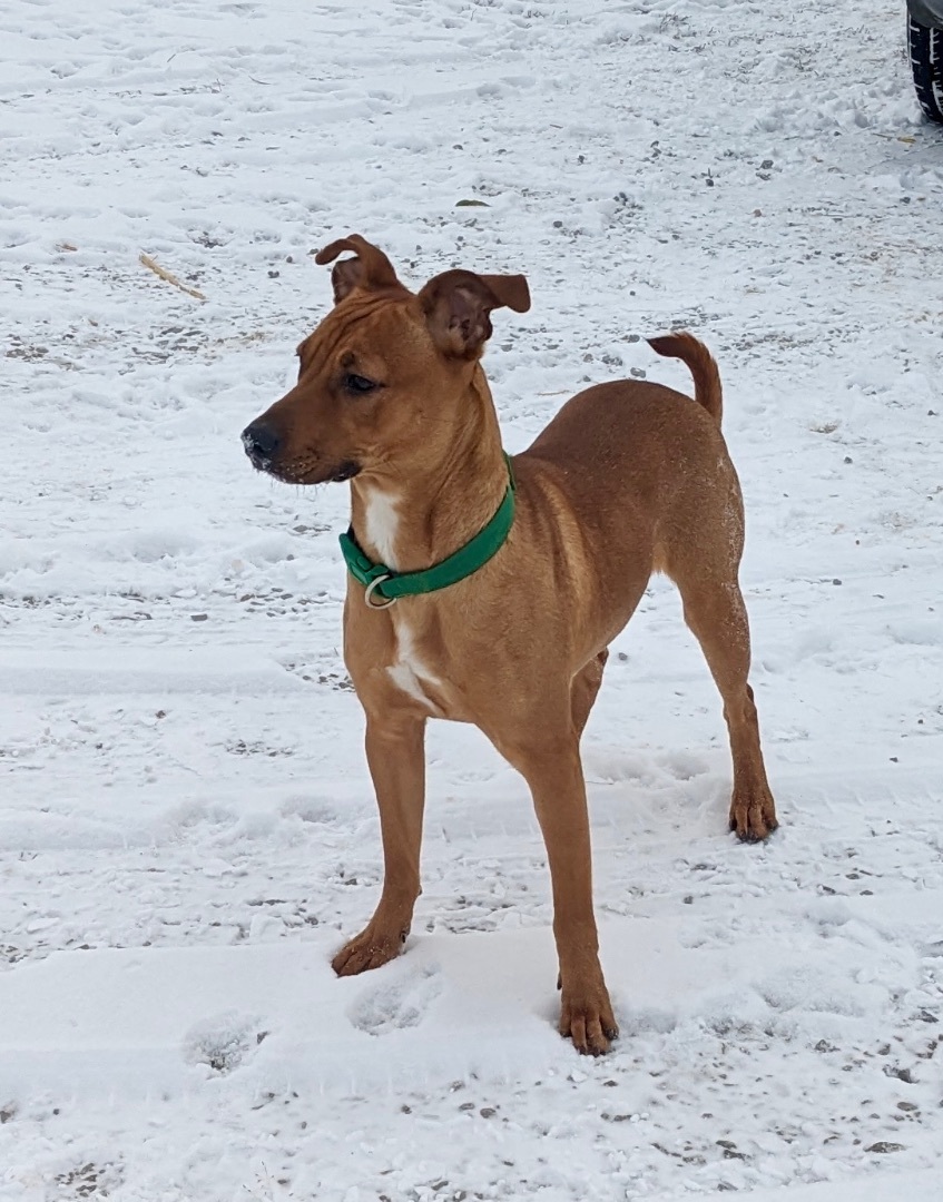 Skittles, Young Female unknown