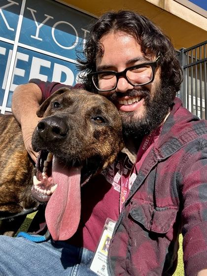 Enlarge Boomer, a Adoptable mixed breed in Wichita, KS image 2/3