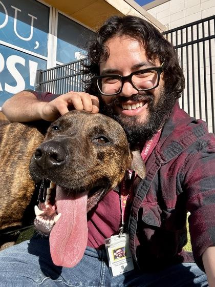 Enlarge Boomer, a Adoptable mixed breed in Wichita, KS image 3/3
