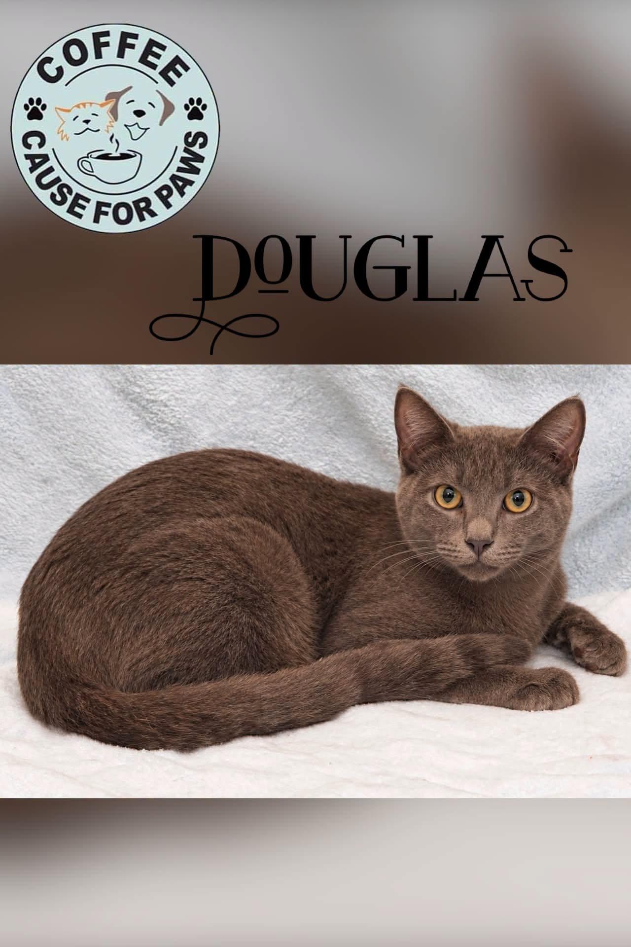 Douglas photo