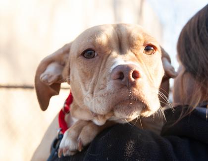 Ella — thumbnail 3