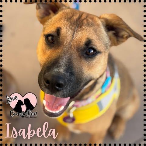 Isabela