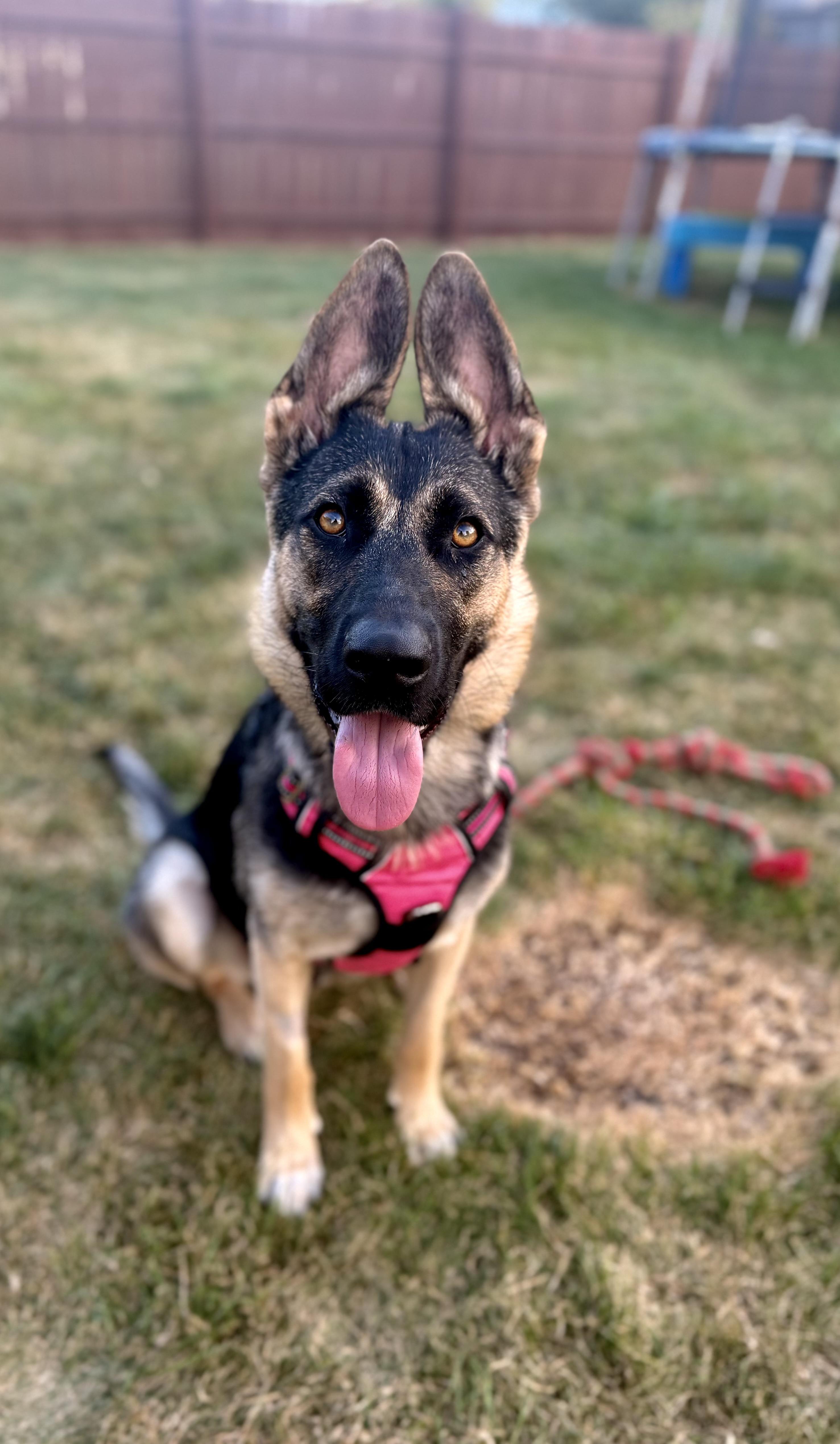 Skye