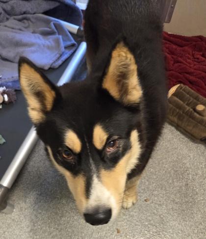 Beefcake — thumbnail 2