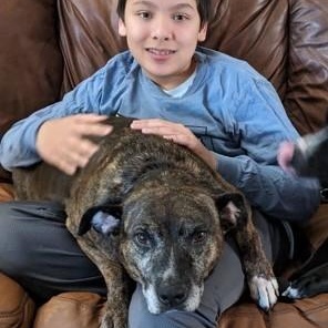 Enlarge Mandy, an adopted mixed breed in Defuniak Springs, FL image 2/3