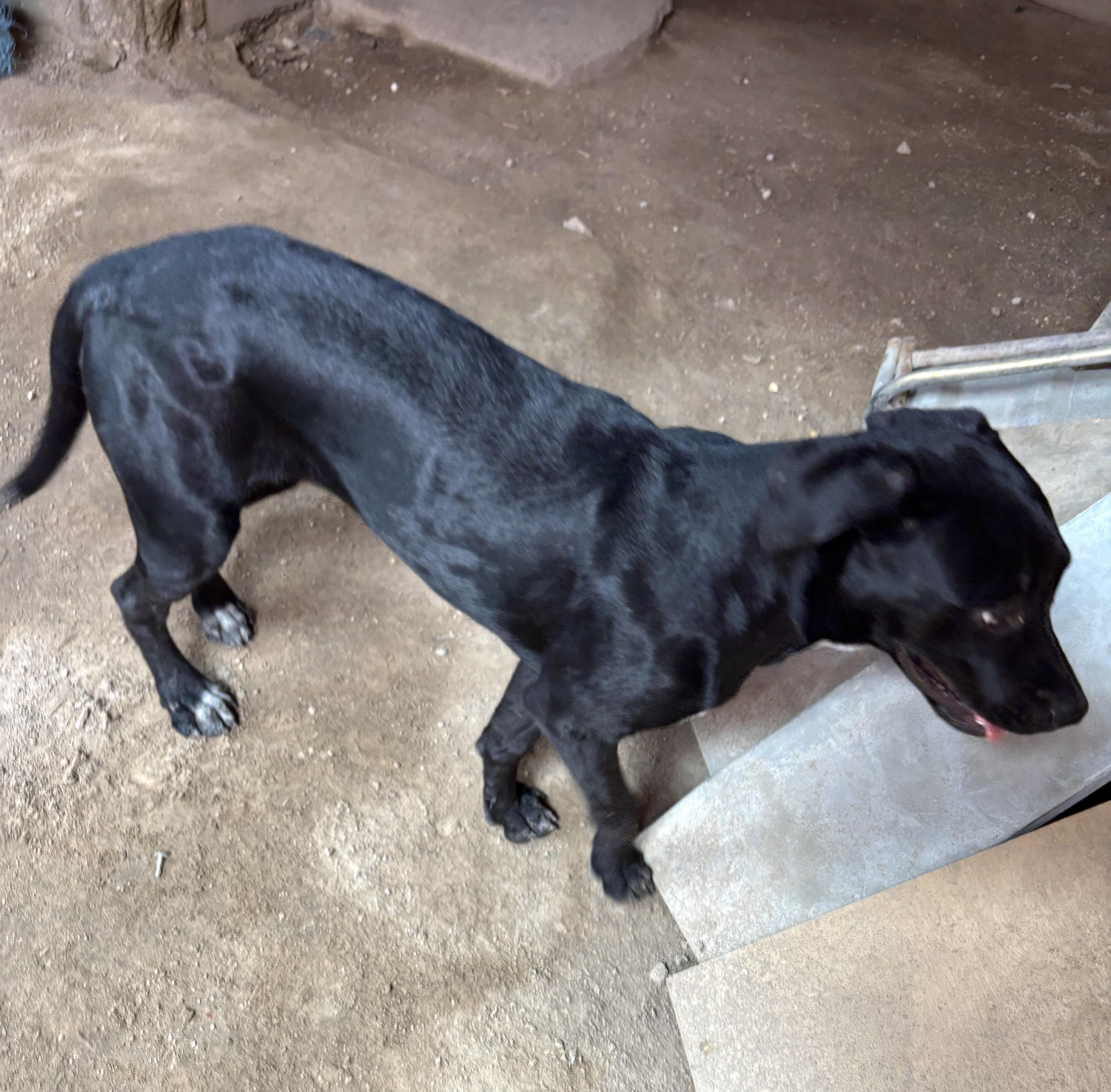 Negrita (28) — thumbnail 2